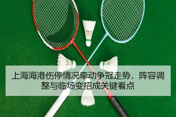 上海海港伤停情况牵动争冠走势，阵容调整与临场变招成关键看点