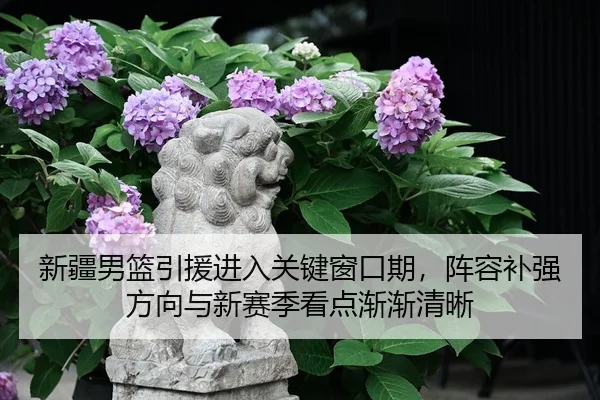 新疆男篮引援进入关键窗口期，阵容补强方向与新赛季看点渐渐清晰