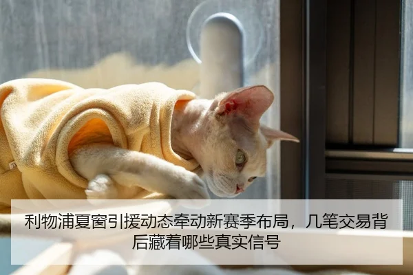 利物浦夏窗引援动态牵动新赛季布局，几笔交易背后藏着哪些真实信号